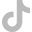 Tiktok icon